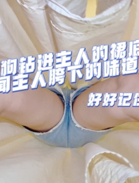 ǿS-ȹӽǳѵ